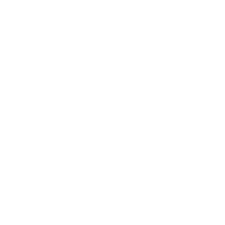 logo-stx